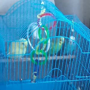 Meet your Posher, Princess